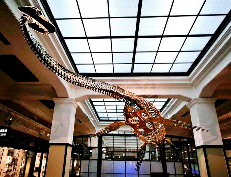 国立科学博物館
